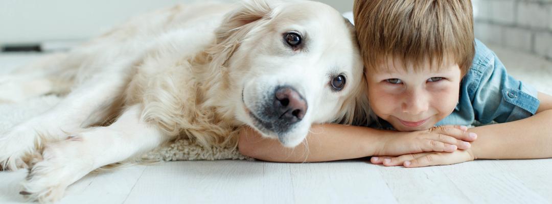 Asthma und Hund