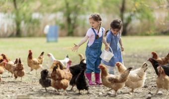 Sauberkeit Bauernhof Kinder