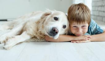 Asthma und Hund